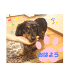 レオちゃんのかわいいスタンプ♪（個別スタンプ：11）