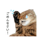 Fあにまるず（個別スタンプ：4）