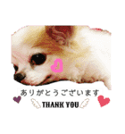 Fあにまるず（個別スタンプ：5）
