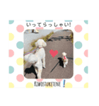 Fあにまるず（個別スタンプ：16）