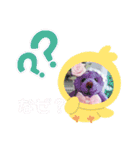 夢の国のクマさんドールのメルヘンスタンプ（個別スタンプ：24）