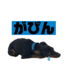 I AM 一樹（個別スタンプ：4）