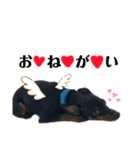I AM 一樹（個別スタンプ：7）
