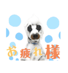 I AM 一樹（個別スタンプ：15）