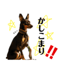 I AM 一樹（個別スタンプ：23）