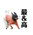 I AM 一樹（個別スタンプ：27）