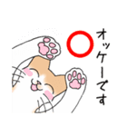 保護猫モカさんの日常（個別スタンプ：10）