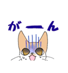 保護猫モカさんの日常（個別スタンプ：13）