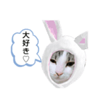 たいがちゃん❤︎(2)（個別スタンプ：2）