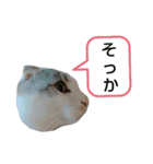 たいがちゃん❤︎(2)（個別スタンプ：3）