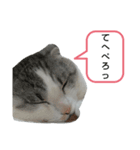 たいがちゃん❤︎(2)（個別スタンプ：5）