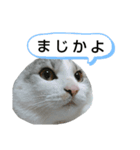 たいがちゃん❤︎(2)（個別スタンプ：8）