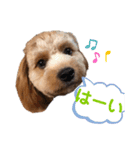 愛ゆえ（個別スタンプ：5）