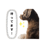 愛ゆえ（個別スタンプ：7）