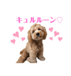 愛ゆえ（個別スタンプ：8）