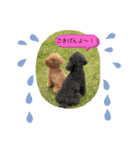 ダックス＆プードル兄弟（個別スタンプ：4）