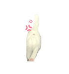 わたしのそらちゃん（個別スタンプ：6）