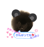 たつのり②（個別スタンプ：1）