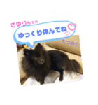 たつのり②（個別スタンプ：2）