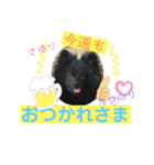 たつのり②（個別スタンプ：12）