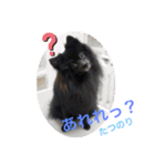 たつのり②（個別スタンプ：13）