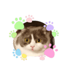 カワイイねこスタンプ（個別スタンプ：7）