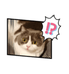 カワイイねこスタンプ（個別スタンプ：9）