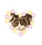 カワイイねこスタンプ（個別スタンプ：13）