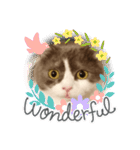 カワイイねこスタンプ（個別スタンプ：15）