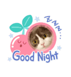 カワイイねこスタンプ（個別スタンプ：18）
