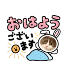 カワイイねこスタンプ（個別スタンプ：19）