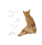 ガウガウ犬りんご君2（個別スタンプ：10）
