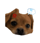 reo-12（個別スタンプ：2）