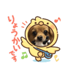 reo-12（個別スタンプ：5）