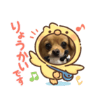 reo123（個別スタンプ：5）