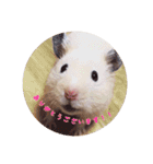 ハムスターと一緒に過ごす日常（個別スタンプ：27）