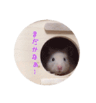 ハムスターと一緒に過ごす日常（個別スタンプ：30）