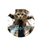 那須ルイ（個別スタンプ：2）
