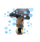 サナとシュウ（個別スタンプ：3）