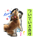 しばーば（個別スタンプ：2）