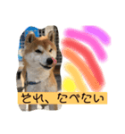 しばーば（個別スタンプ：3）
