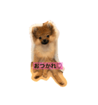 ポメラニアンのくぅちゃん第二弾（個別スタンプ：30）