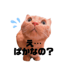 くうちゃあちび（個別スタンプ：1）