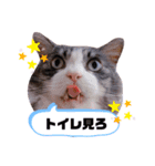くうちゃあちび（個別スタンプ：4）