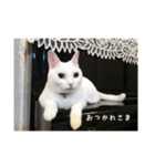 び〜スタンプ  3（個別スタンプ：2）