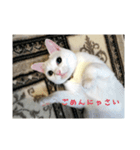 び〜スタンプ  3（個別スタンプ：4）