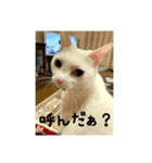 び〜スタンプ  3（個別スタンプ：6）