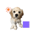 愛犬ソフィアしか勝たんスタンプ（個別スタンプ：5）
