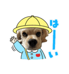 愛犬ソフィアしか勝たんスタンプ（個別スタンプ：15）