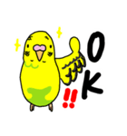 インコのちゅん太郎（個別スタンプ：1）